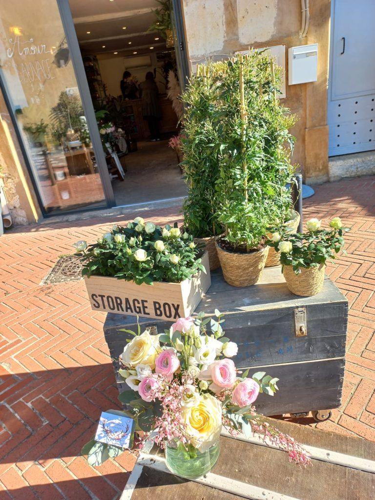 boutique de decoration avec jolie en scene sur le trottoir (plantes, caisses en bois, fleurs) à valbonne, un charmant village de la cote d'azur