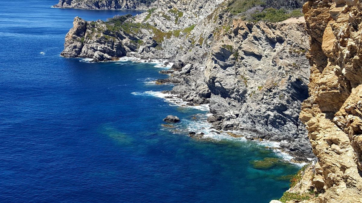 Visite De L'île De Porquerolles Et De Hyères - Côte D'Azur Insider