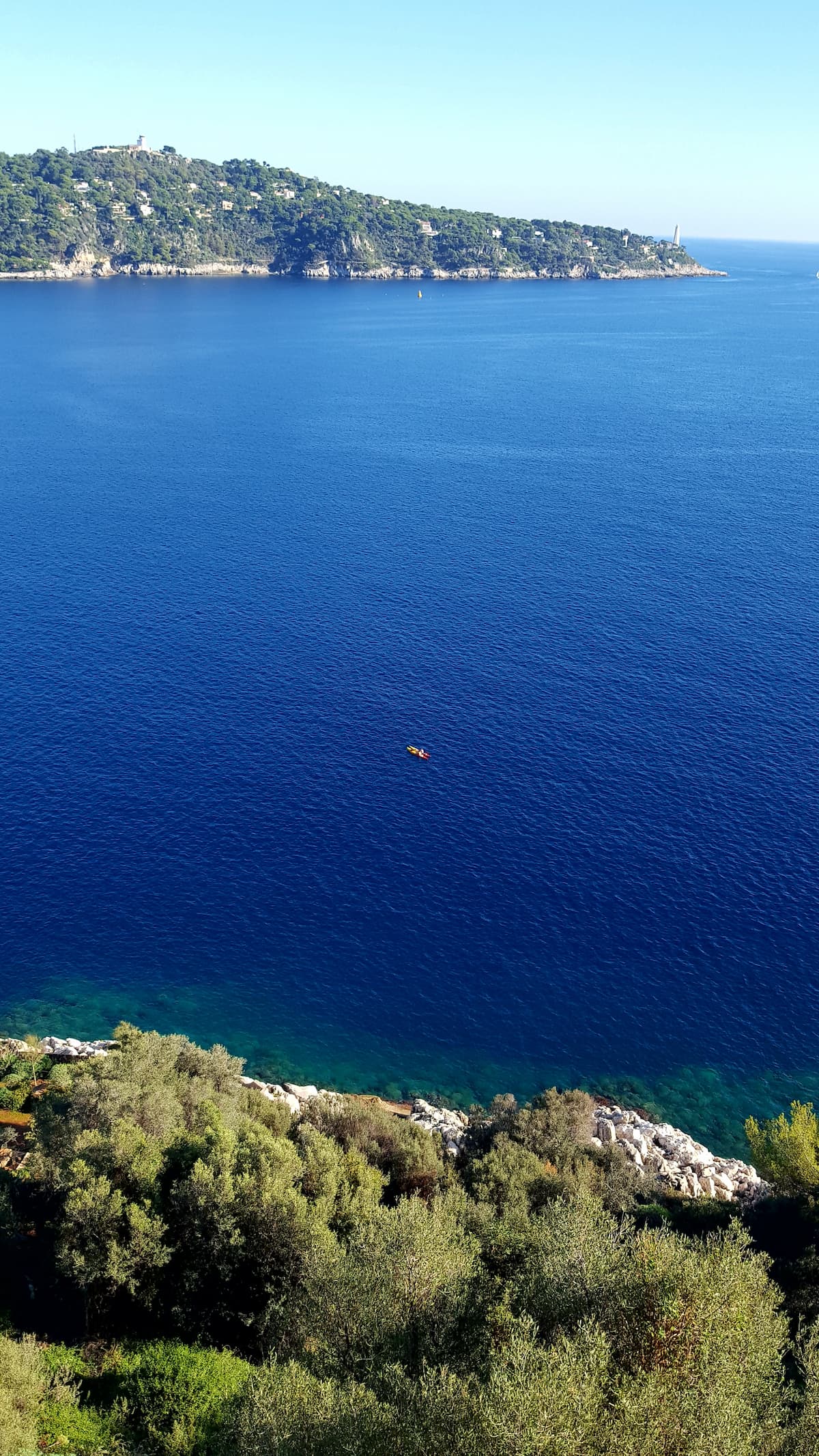 Vue du début de la rade de Villefranche-sur-Mer avec un premier plan verdoyant et un arrière-plan laissant deviner St Jean Cap Ferrat