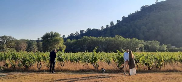 mariage dans les vignes chez regis freres du cote de vidauban dans le var